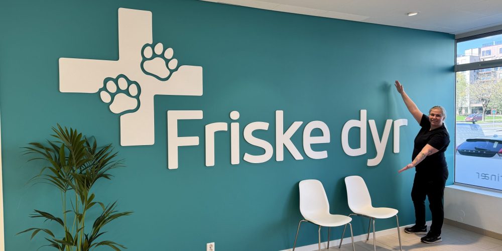 Annikken presenterer logo